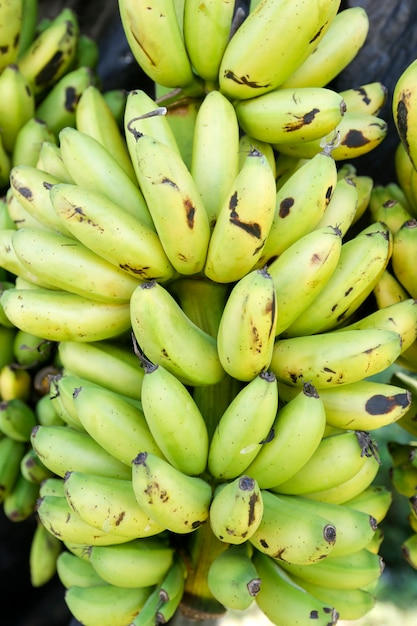 Variété de banane