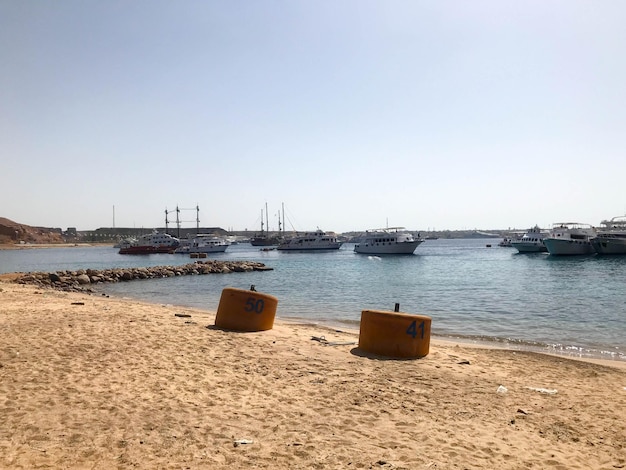 Une variété de bateaux à moteur et de voiliers de croisière se tiennent sur un quai dans le port