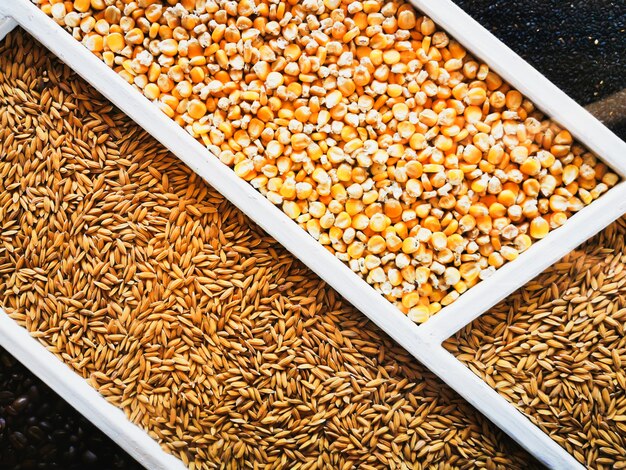 Variété de céréales et de graines saines dans une boîte en bois