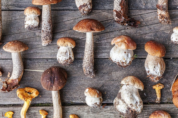 Variété de champignons comestibles crus Penny Bun Boletus leccinum sur table rustique. Cèpes sur fond sombre en bois