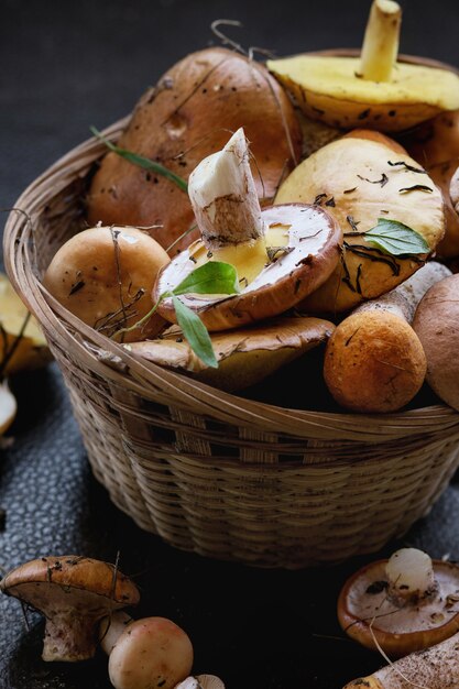 Variété de champignons forestiers