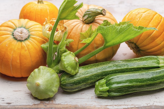 variété de citrouilles et courgettes