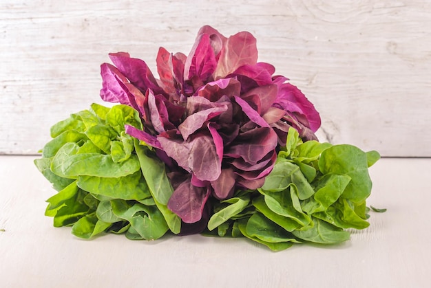 Variété d'épinards rouges et verts sur fond de bois blanc