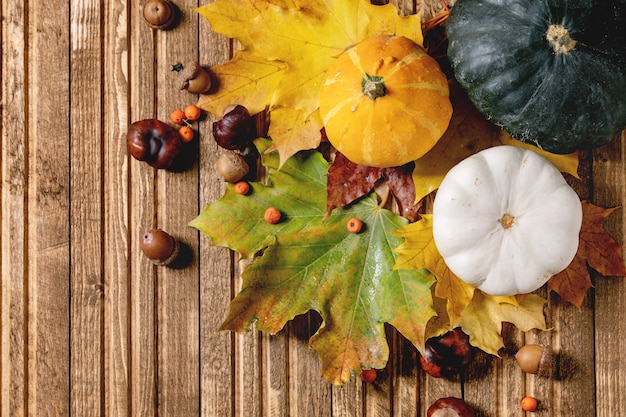 Variété de feuilles d'automne