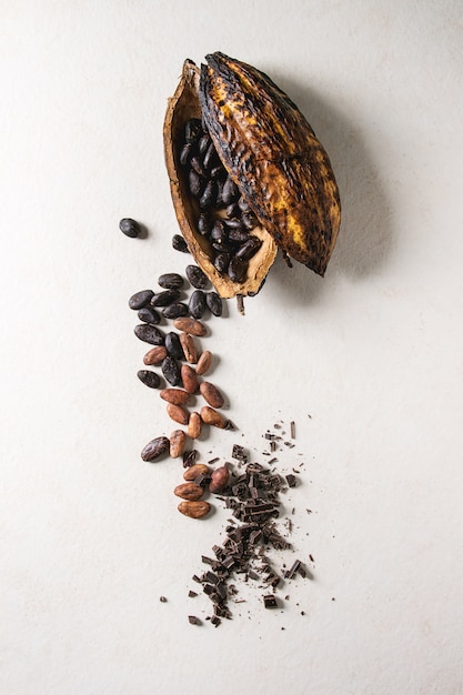 Variété de fèves de cacao