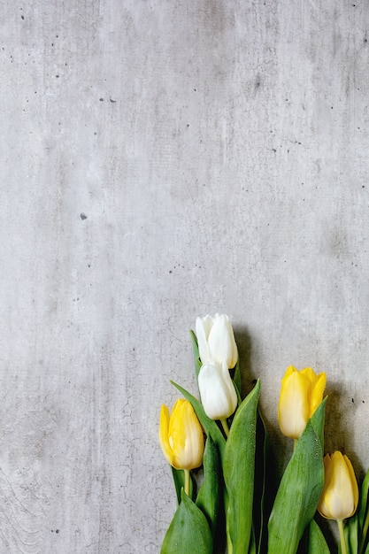 Variété de fleurs de tulipes