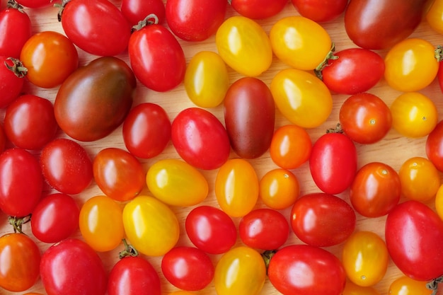 Variété de fond de tomate bio coloré