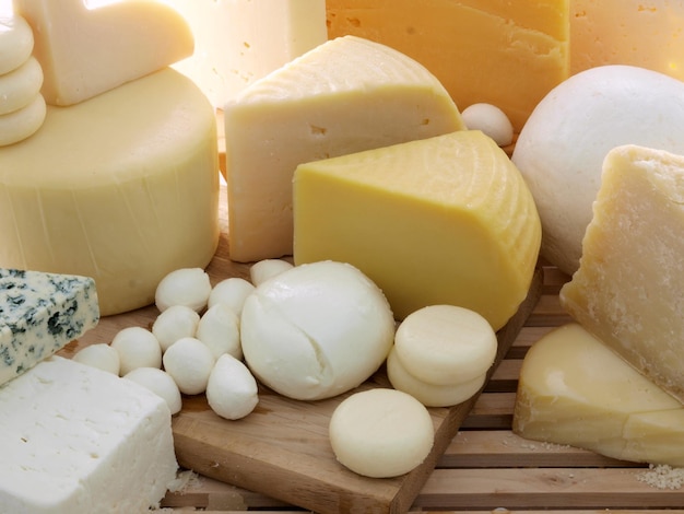 Une variété de fromages, y compris du fromage, de la mozzarella et de la mozzarella