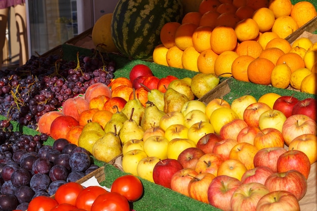 Variété de fruits en boîte