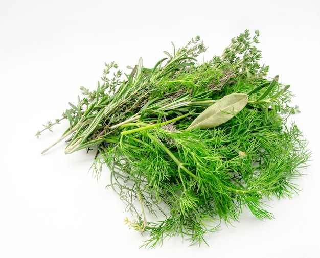 Variété d'herbes aromatiques fraîches