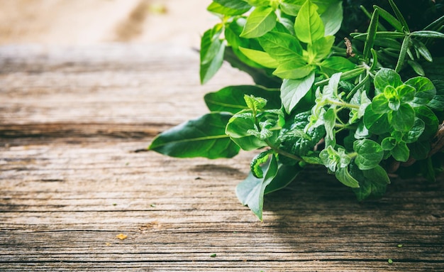 Variété d'herbes sur fond de bois