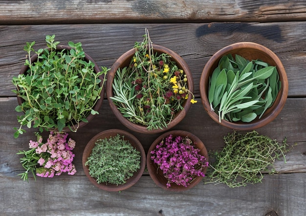 une variété d'herbes sont placées sur une table en bois