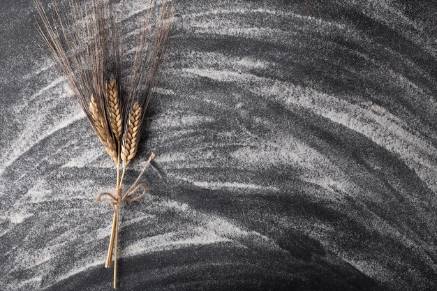 Variété italienne de blé Senatore Cappelli oreille de grain ou épi de seigle plante sur fond noir avec de la farine, vue de dessus