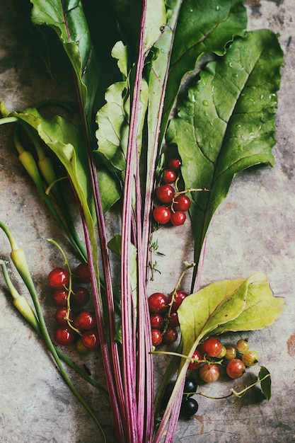 Variété de jeunes légumes