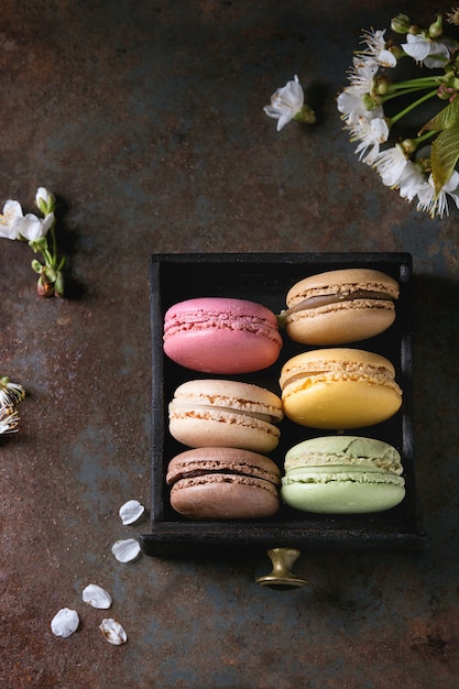 Variété de macarons dessert français