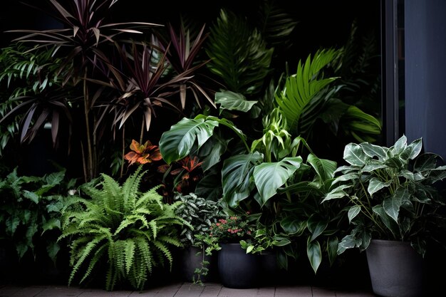 Une variété de plantes tropicales