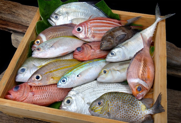 Une variété de poissons de mer frais Pour la cuisson, disposer sur une planche de bois.