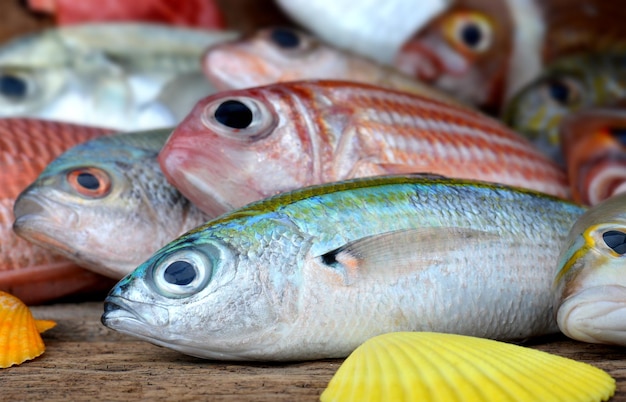 Une variété de poissons de mer frais Pour la cuisson, disposer sur une planche de bois.