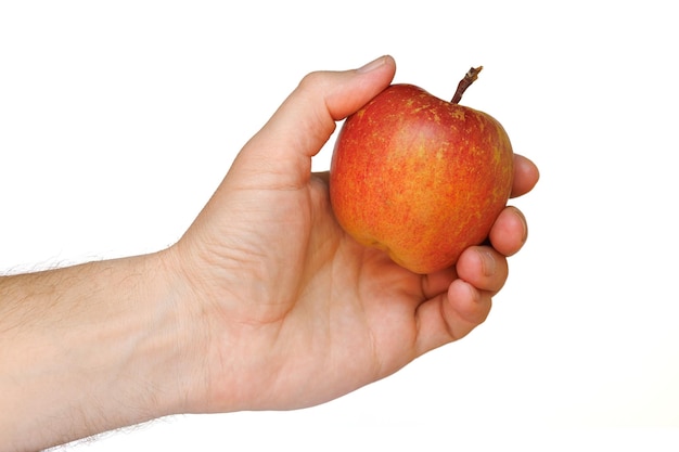 Variété de pomme rouge de Fuji dans l'isolat de main