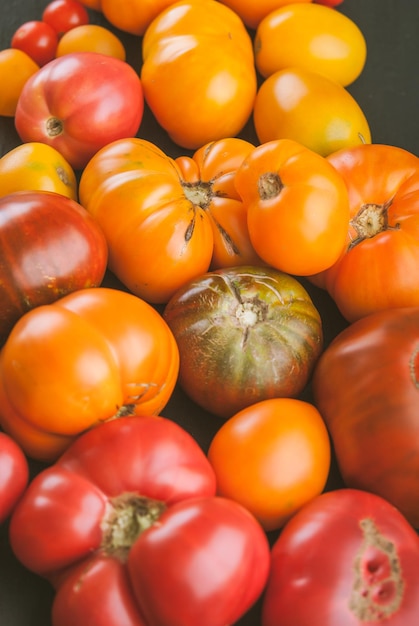 variété de tomates biologiques mûres et colorées