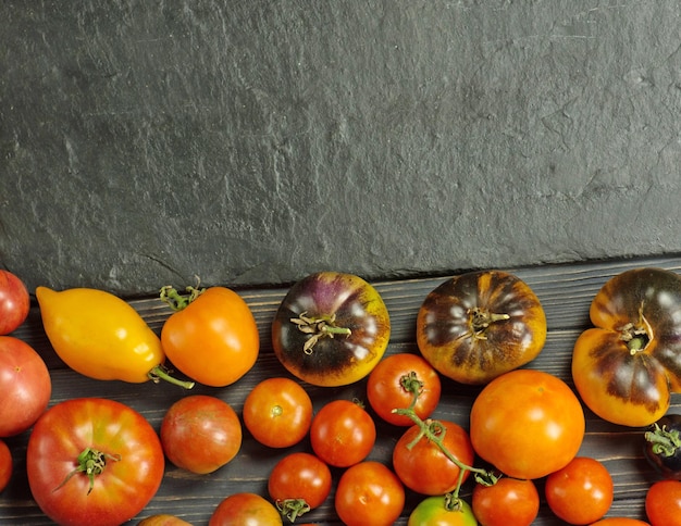 Variété de tomates colorées fraîches L'agriculture biologique est écologique