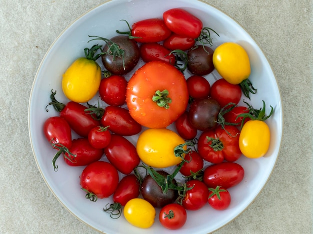 Variétés de tomates locales colorées rouge, orange, brun et jaune exposées dans un bol