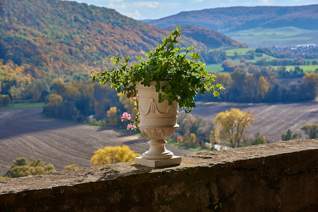 Vase ancien aux géraniums sur fond d'arbres d'automne