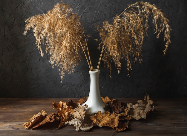 Photo vase aux feuilles sèches sur fond sombre