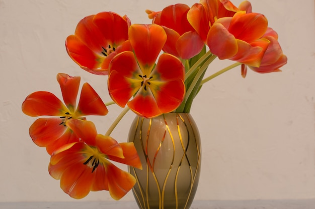 Vase avec un bouquet de tulipes rouges sur fond gris