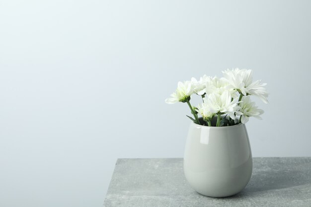 Vase avec des chrysanthèmes blancs sur une table texturée grise.