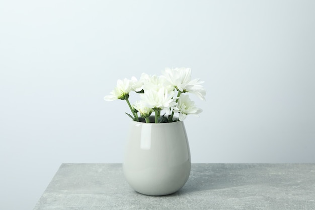 Vase avec des chrysanthèmes blancs sur une table texturée grise.