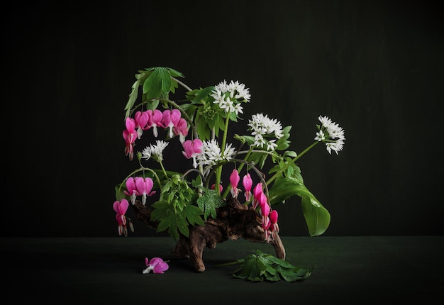 Un vase avec des fleurs et des feuilles qui ont des fleurs roses Allium ursinum Dicentra