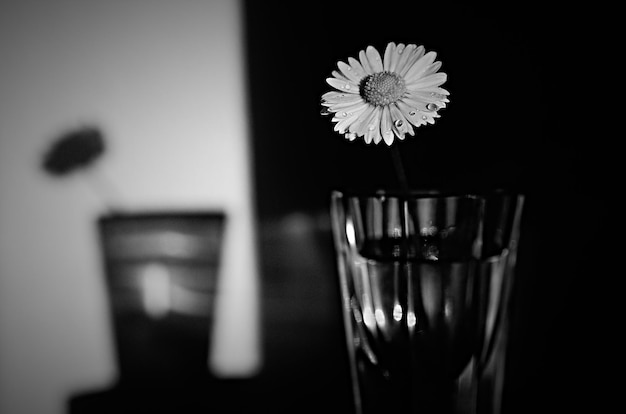 Photo vase à fleurs en gros plan sur la table