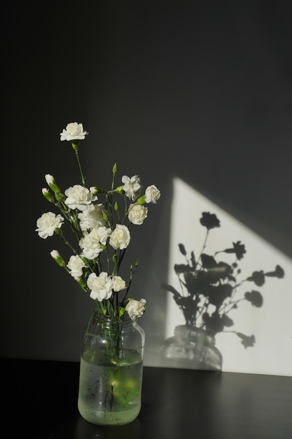 Un vase de fleurs avec le soleil qui brille dessus