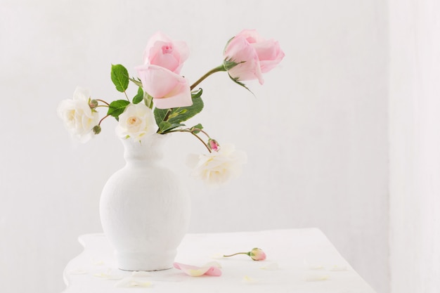 Vase oin roses sur fond blanc