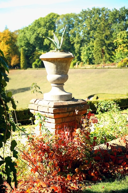 Photo vase en pierre dans le parc