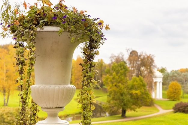 Vase en pierre avec des fleurs dans le parc de Pavlovsk en automne