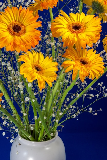 Un vase plein de fleurs de Gerberas dorés (Asteraceae)