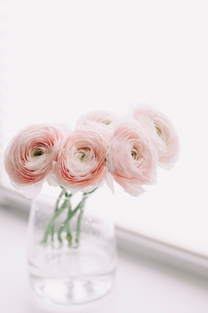 vase renoncule rose sur surface blanche