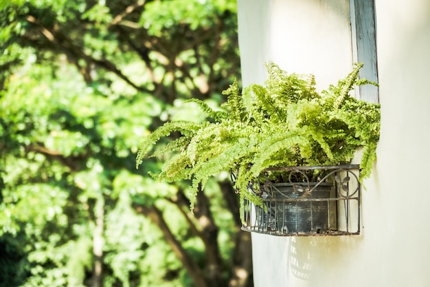 Vase avec terrasse extérieure