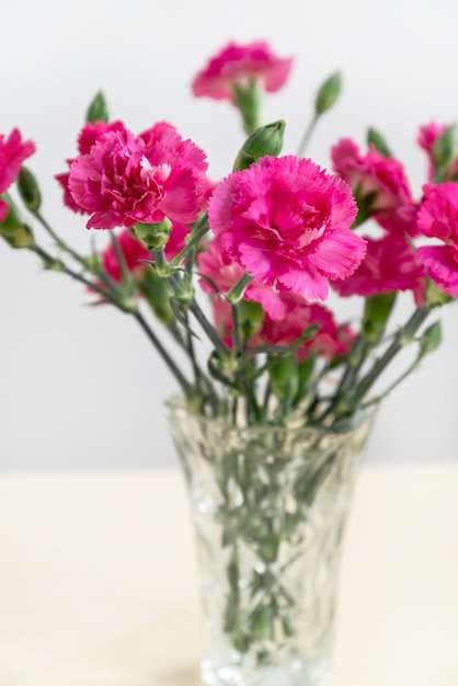 Vase en verre avec bouquet de fleurs d'oeillets roses