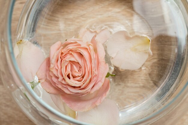 Vase en verre moderne avec des roses intérieur scandinave