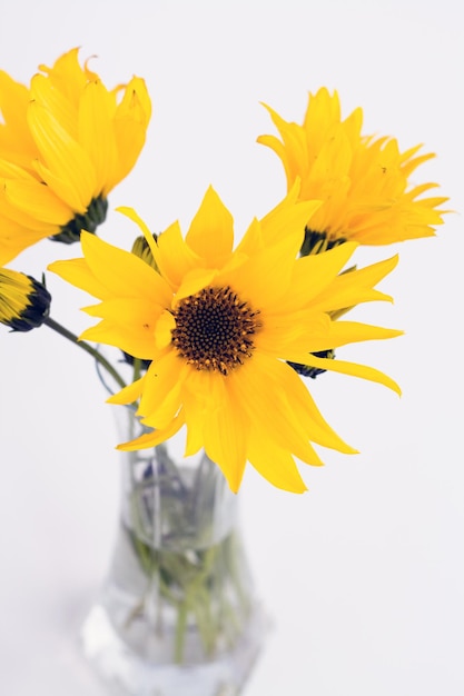 Vase en verre transparent à fleurs jaunes sur fond clair