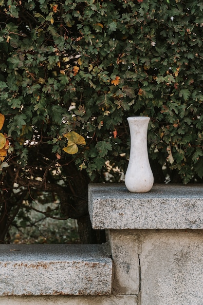 Vase vide en marbre sur feuilles vertes