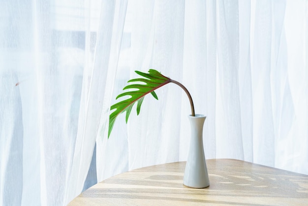 Photo des vases de fleurs en verre est sur une table en bois près de la fenêtre à l'intérieur dans un café-bar dans un café en plein jour