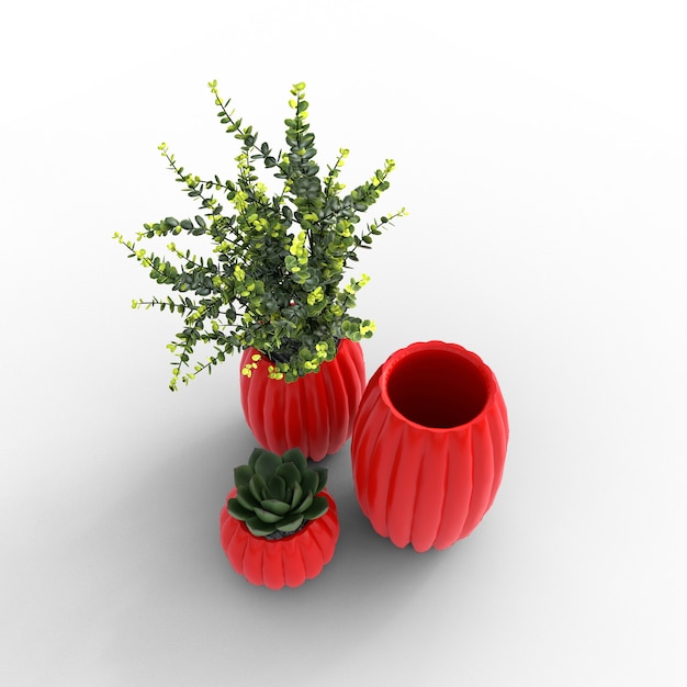 Vases avec plantes et plantes succulentes sur fond blanc illustration 3d