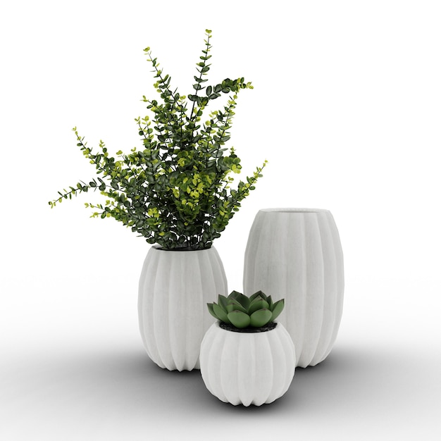 Vases avec plantes et plantes succulentes sur fond blanc