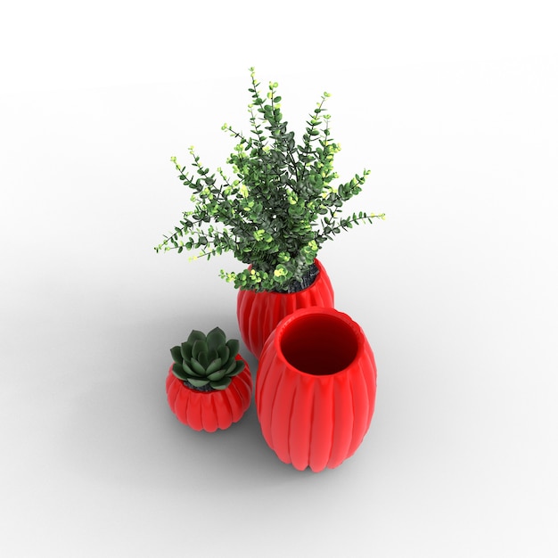 Vases avec plantes et plantes succulentes sur fond blanc