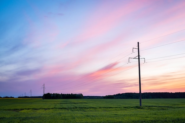 Vaste champ agricole vert sous un ciel coloré au crépuscule léger et une voie électrique