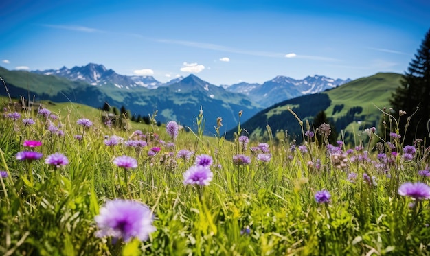 Vaste prairie alpine parsemée de fleurs sauvages vibrantes avec de majestueuses montagnes aux sommets enneigés en toile de fond Un paysage naturel serein et pittoresque Créé avec des outils d'IA génératifs